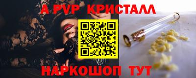 крисы Нальчик