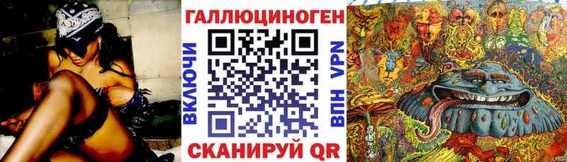 Галлюциногенные грибы мицелий  OMG ссылка  Черногорск 