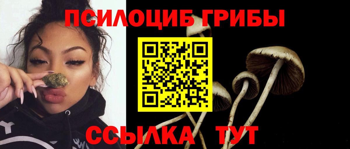 Черногорск  Псилоцибиновые грибы ЛСД  Вход с VPN  Псилоцибиновые грибы Psilocybine cubensis 